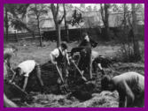 Scouts "dig for victory" in vicarage garden